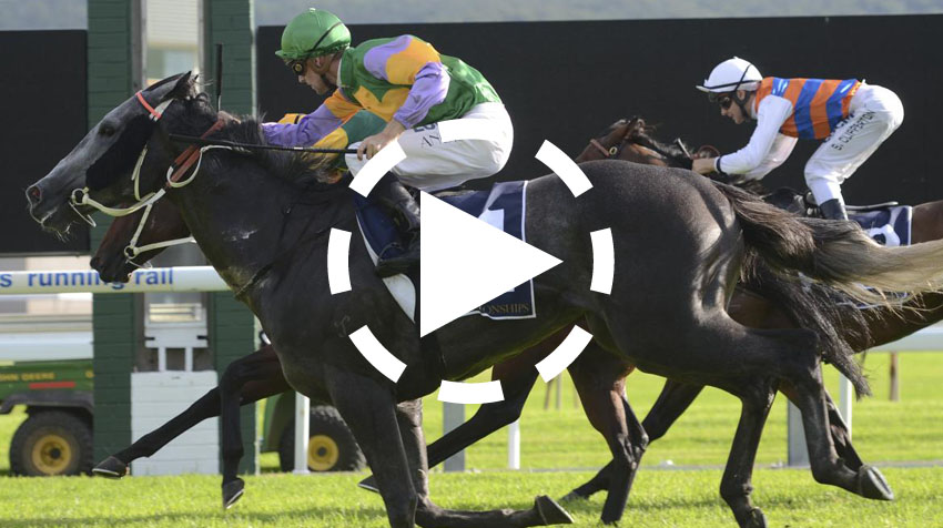 T J Smith Stakes Replay 2013