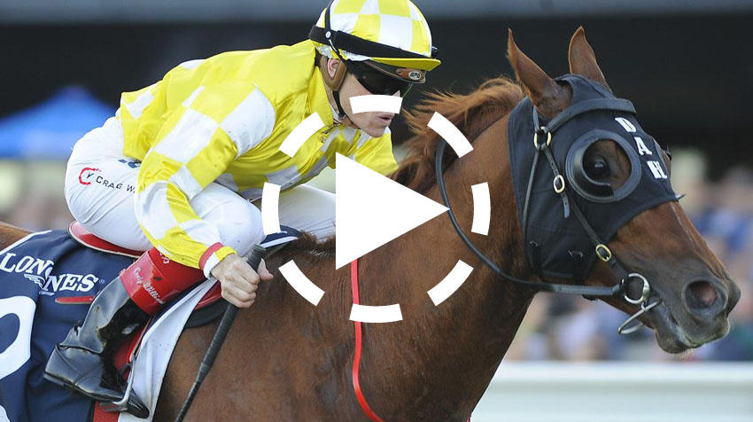 Queen Elizabeth Stakes Replay 2015