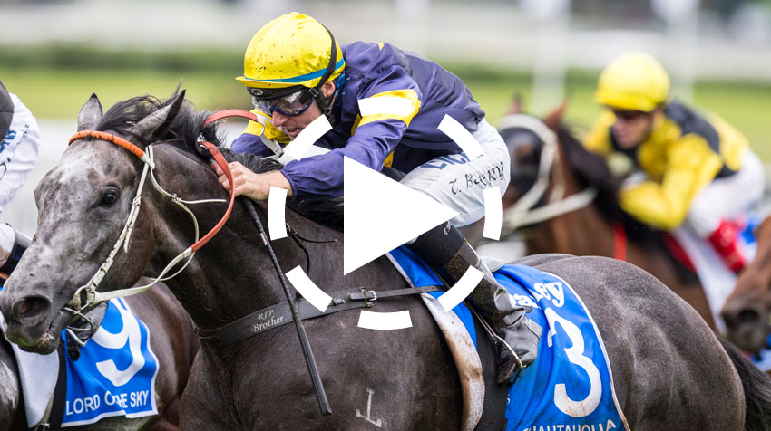 T J Smith Stakes Replay 2015