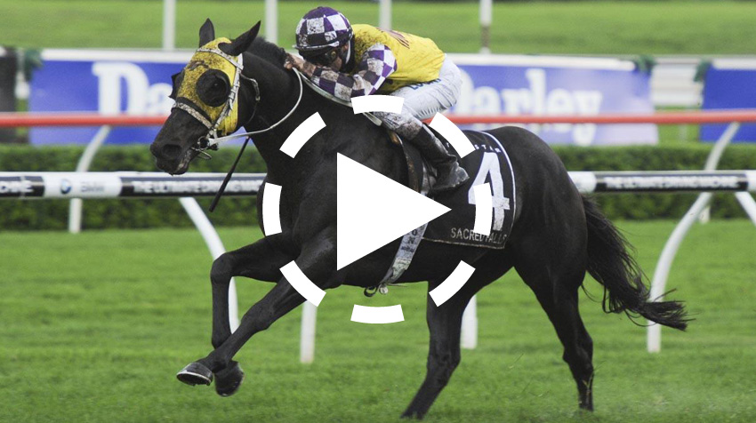 Doncaster Mile Replay 2014